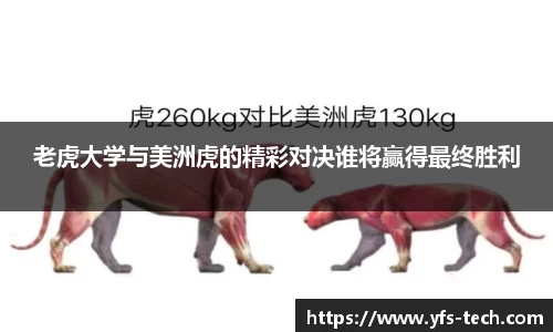 jn江南体育