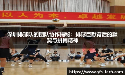深圳排球队的团队协作揭秘：排球巨献背后的默契与拼搏精神